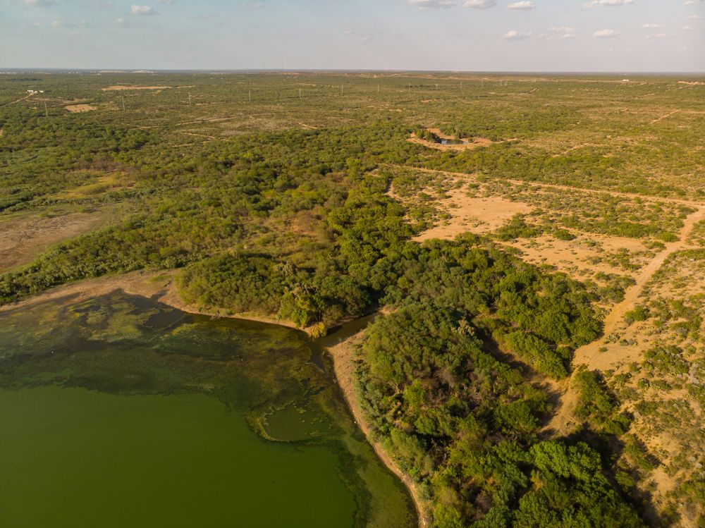 CIELITO LINDO BLVD PRIME DEVELOPMENT: CIELITO LINDO BLVD, Laredo, TX 78046